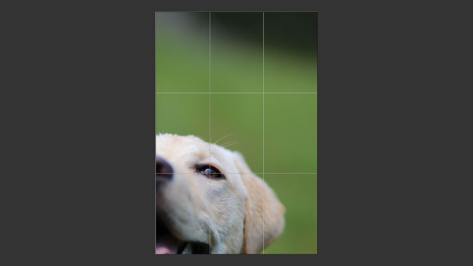 Rule of Thirds Example