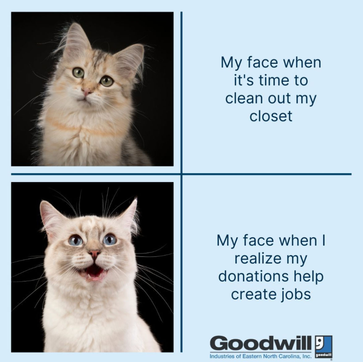meme with sad cat becoming happy about donations creating jobs